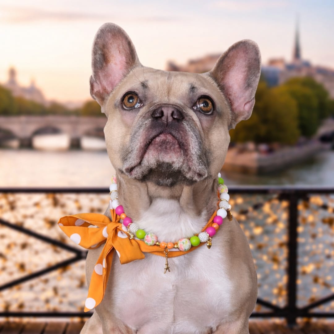 LivalaPip™ - Livalapip in Paris - ketting - L’Orange d’Été