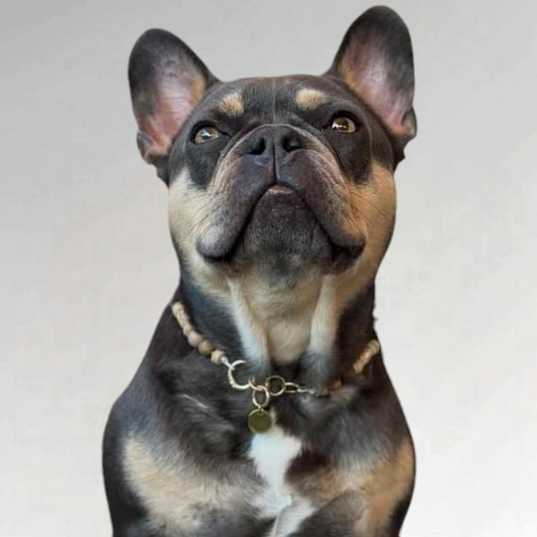 LivalaPip™ - Ketting - Neutral Nuances