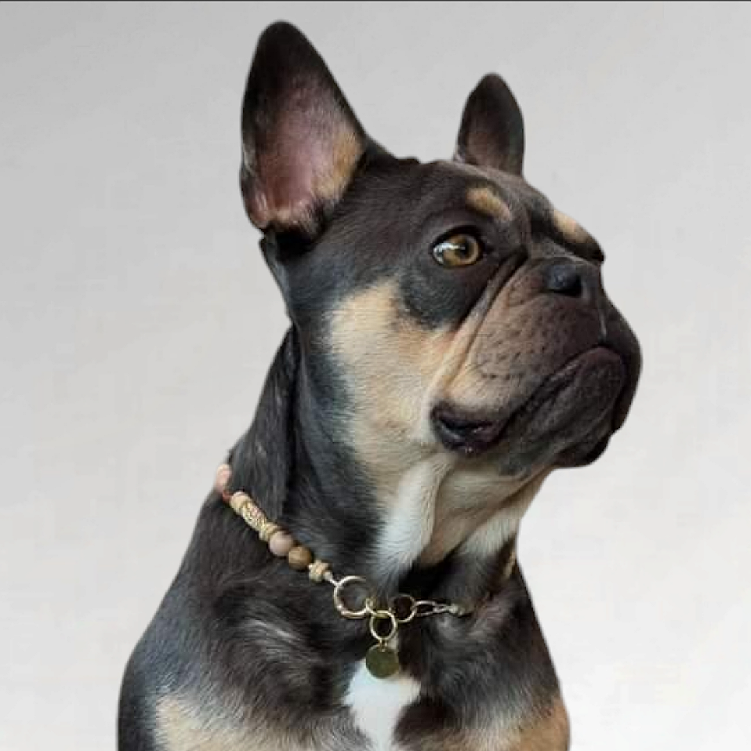 LivalaPip™ - Ketting - Neutral Nuances