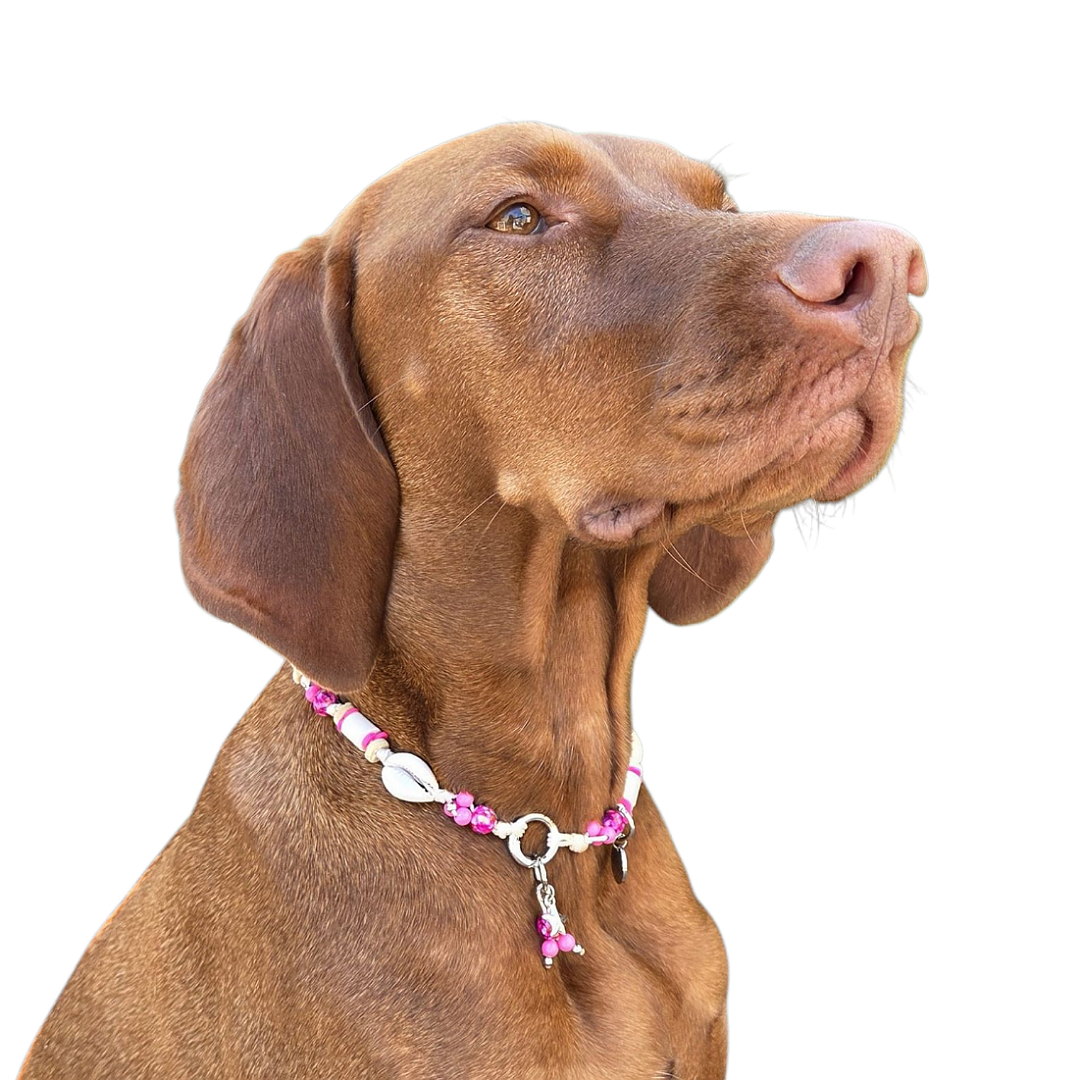 LivalaPip™ - Anti-tekenketting - Fuchsia Tide