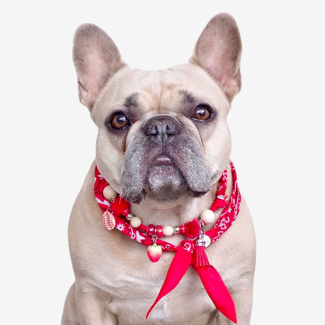 LivalaPip™ - Bandana Ketting - Ibiza Strawberrry Red