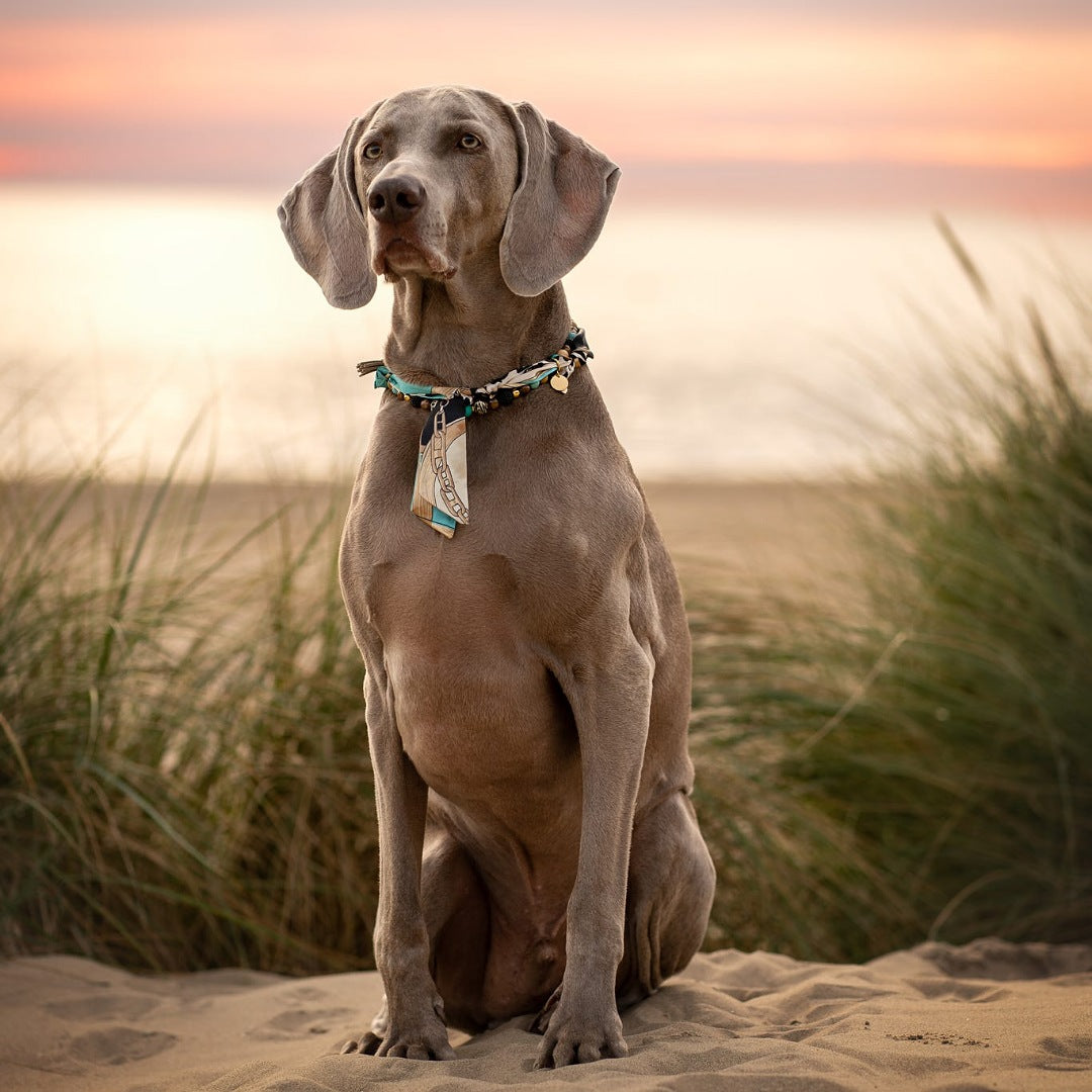 LivalaPip™ - Bandana Ketting - Golden Turquoise