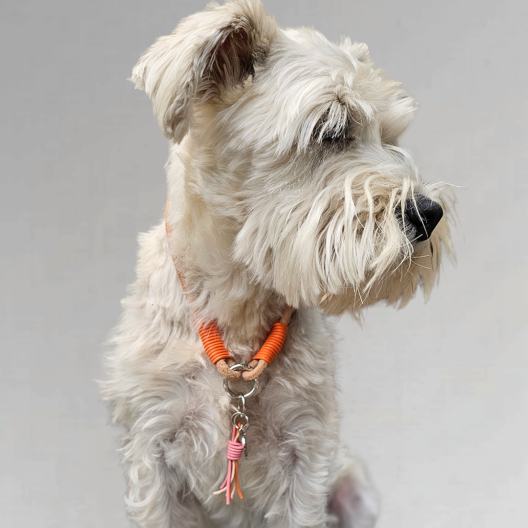 LivalaPip™ - Leather Necklace - Orange