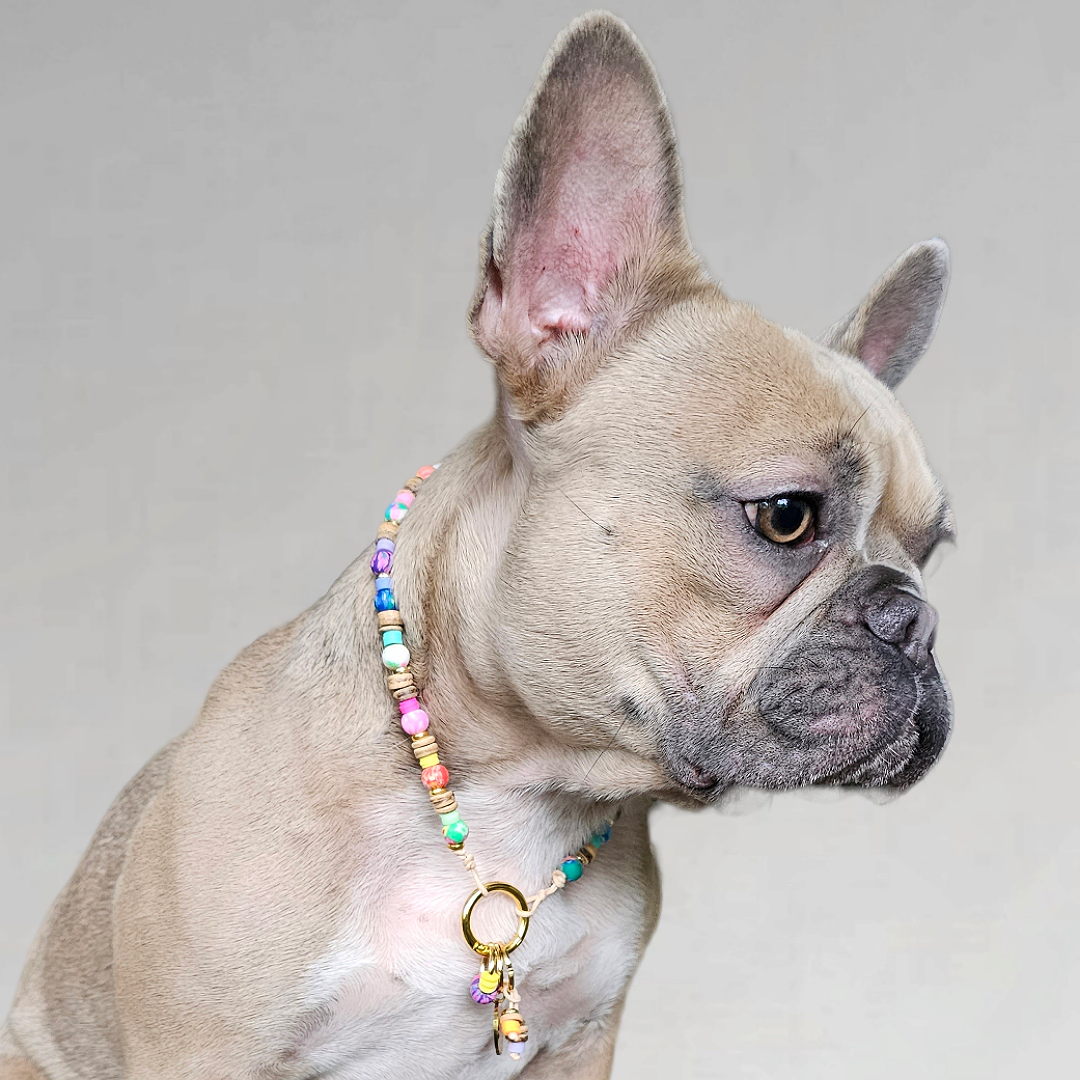 LivalaPip™ - Necklace - Coconut Ibiza Boho Chic