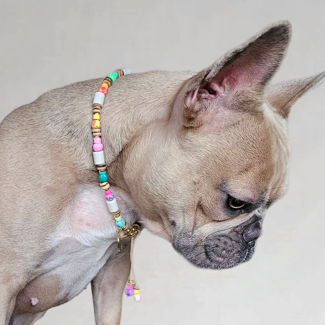 LivalaPip™ - Anti-tick necklace - Coconut Ibiza Boho Chic