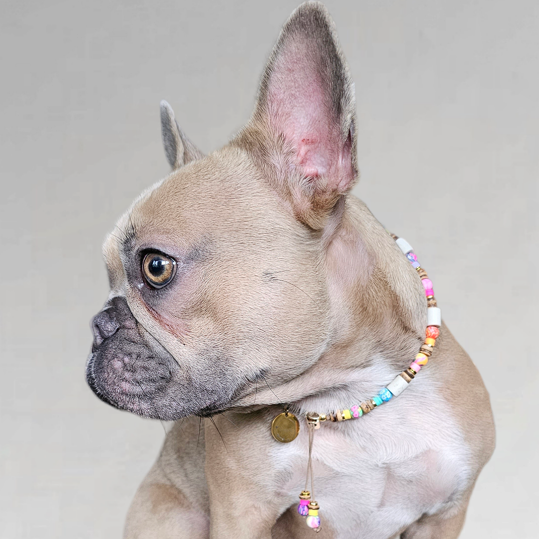 LivalaPip™ - Anti-tick necklace - Coconut Ibiza Boho Chic
