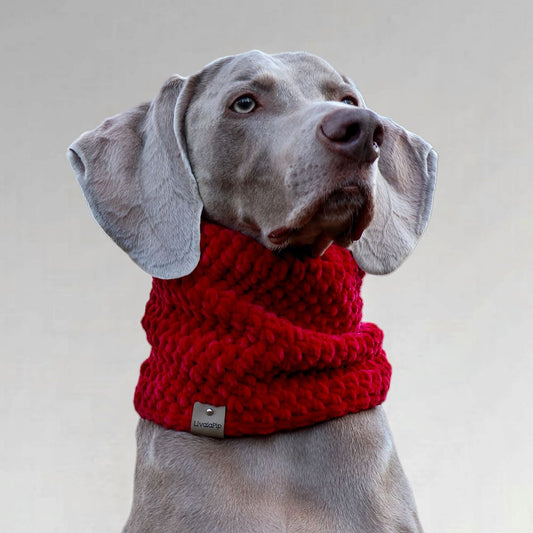 LivalaPip™ - Turtleneck scarf Supersoft - Warm red