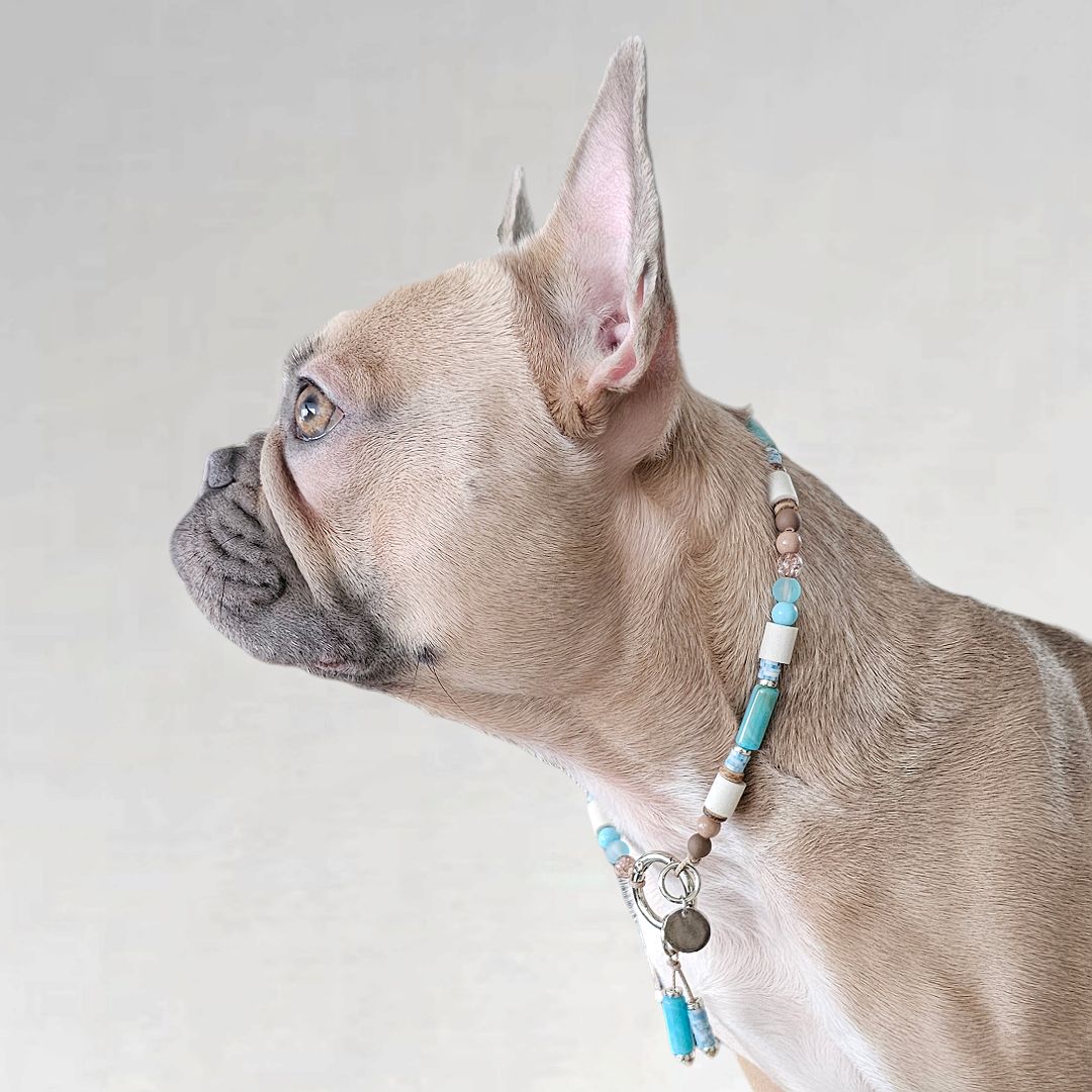 LivalaPip™ - Anti-tick chain - Aqua Breeze