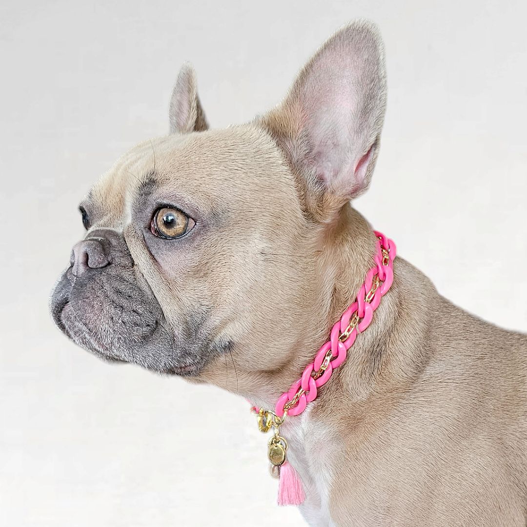 LivalaPip™ - ID Collar - Schakel - Hot Pink Frenzy