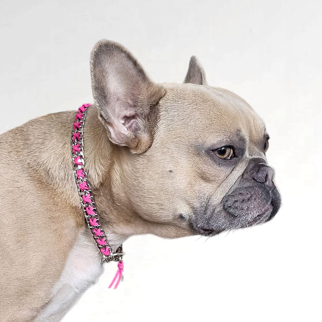 LivalaPip™ - ID Collar - Schakel - Steel Fuchsia