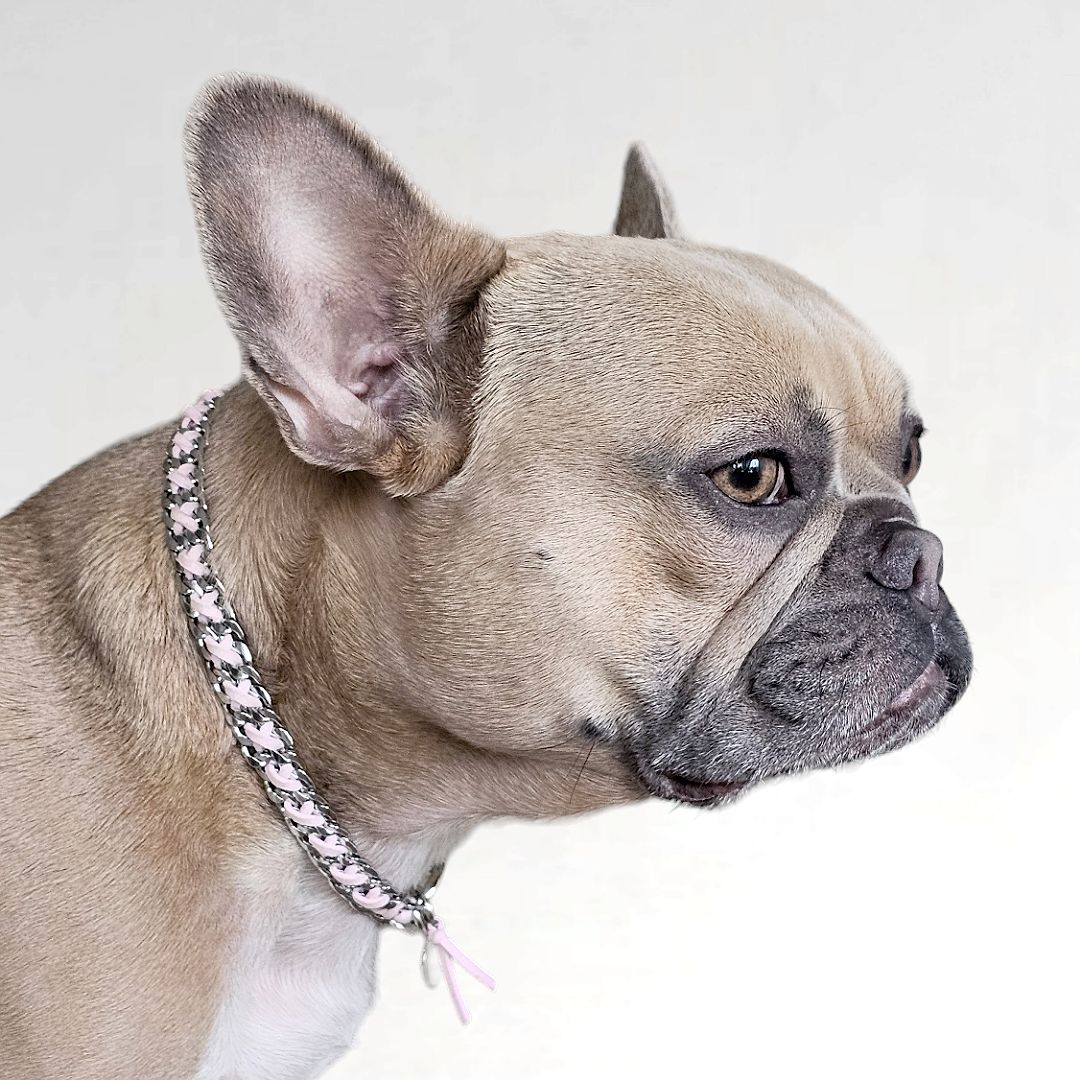 LivalaPip™ - ID Collar - Schakel - Steel Blossom