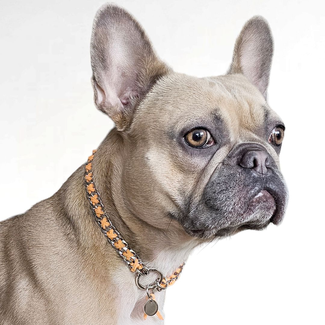LivalaPip™ - ID Collar - Schakel - Steel Sunset