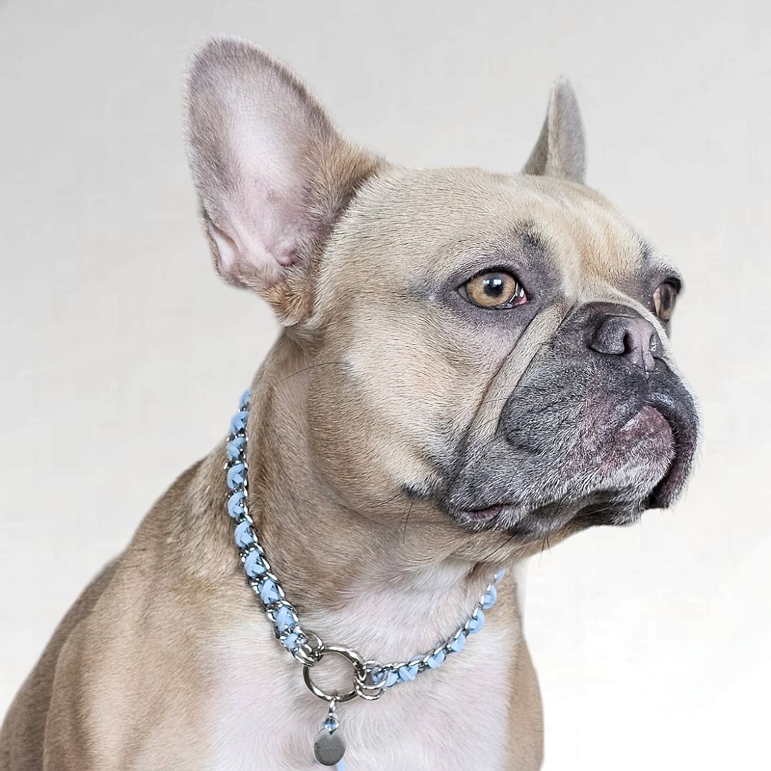LivalaPip™ - ID Collar - Schakel - Steel Ocean