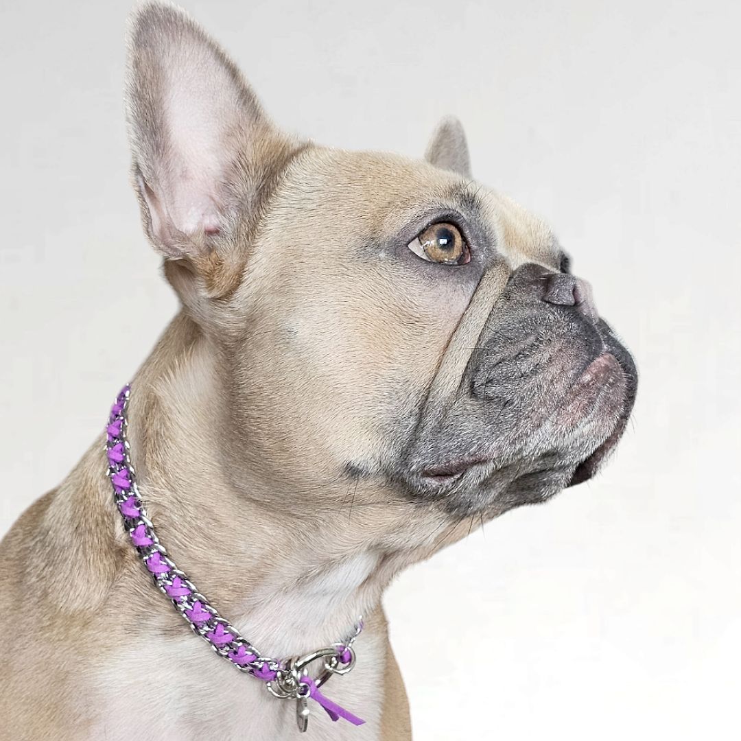 LivalaPip™ - ID Collar - Schakel - Steel Lavender
