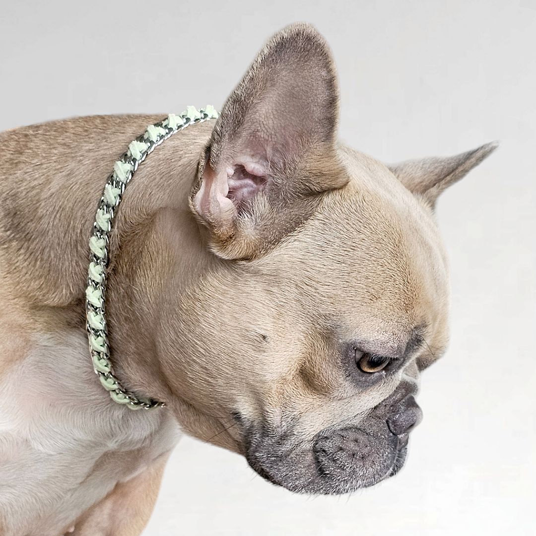 LivalaPip™ - ID Collar - Schakel - Steel Mint