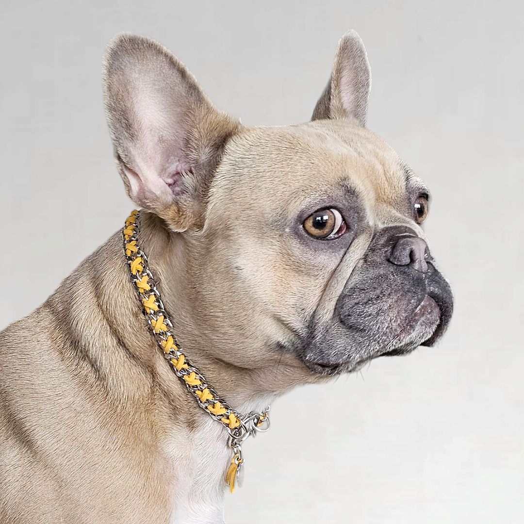 LivalaPip™ - ID Collar - Schakel - Steel Sunflower