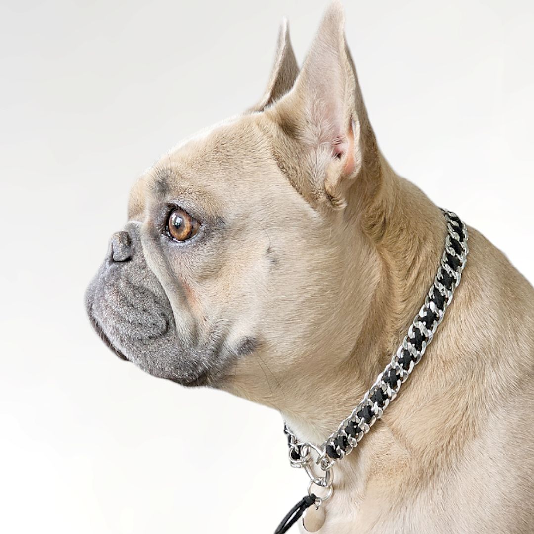 LivalaPip™ - ID Collar - Schakel - Steel Black