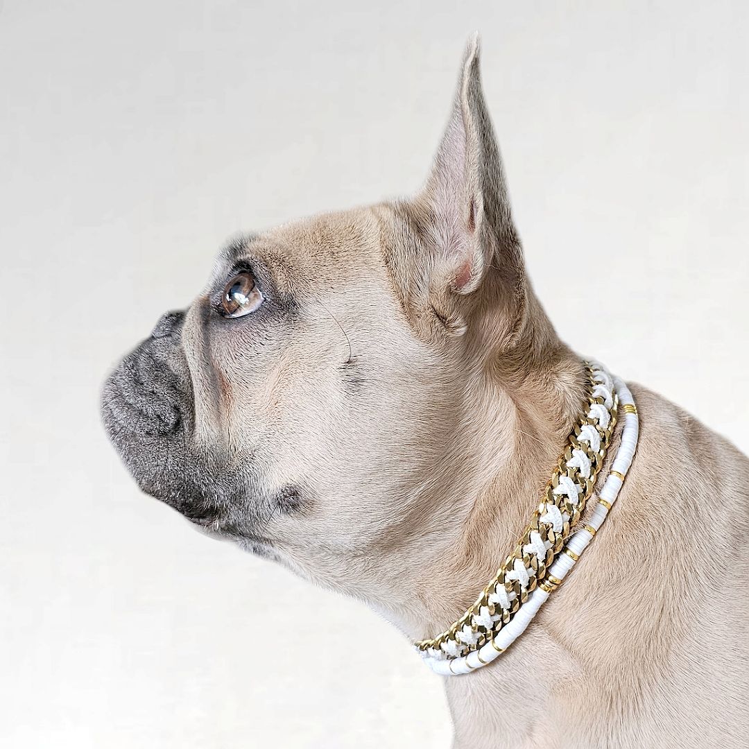 LivalaPip™ - ID Collar - Schakel - Steel Gold White