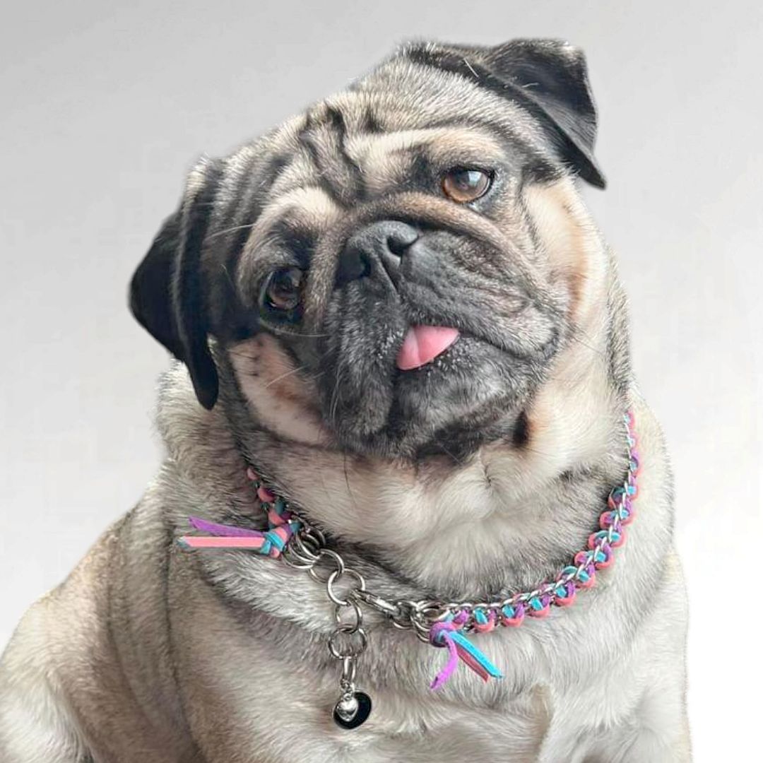 LivalaPip™ - ID Collar - Schakel - Steel Fairy Lagoon