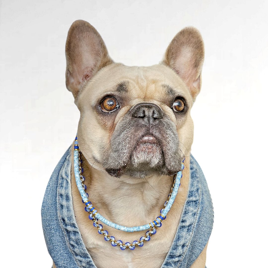 LivalaPip™ - ID Collar - Schakel - Steel Denim Blue