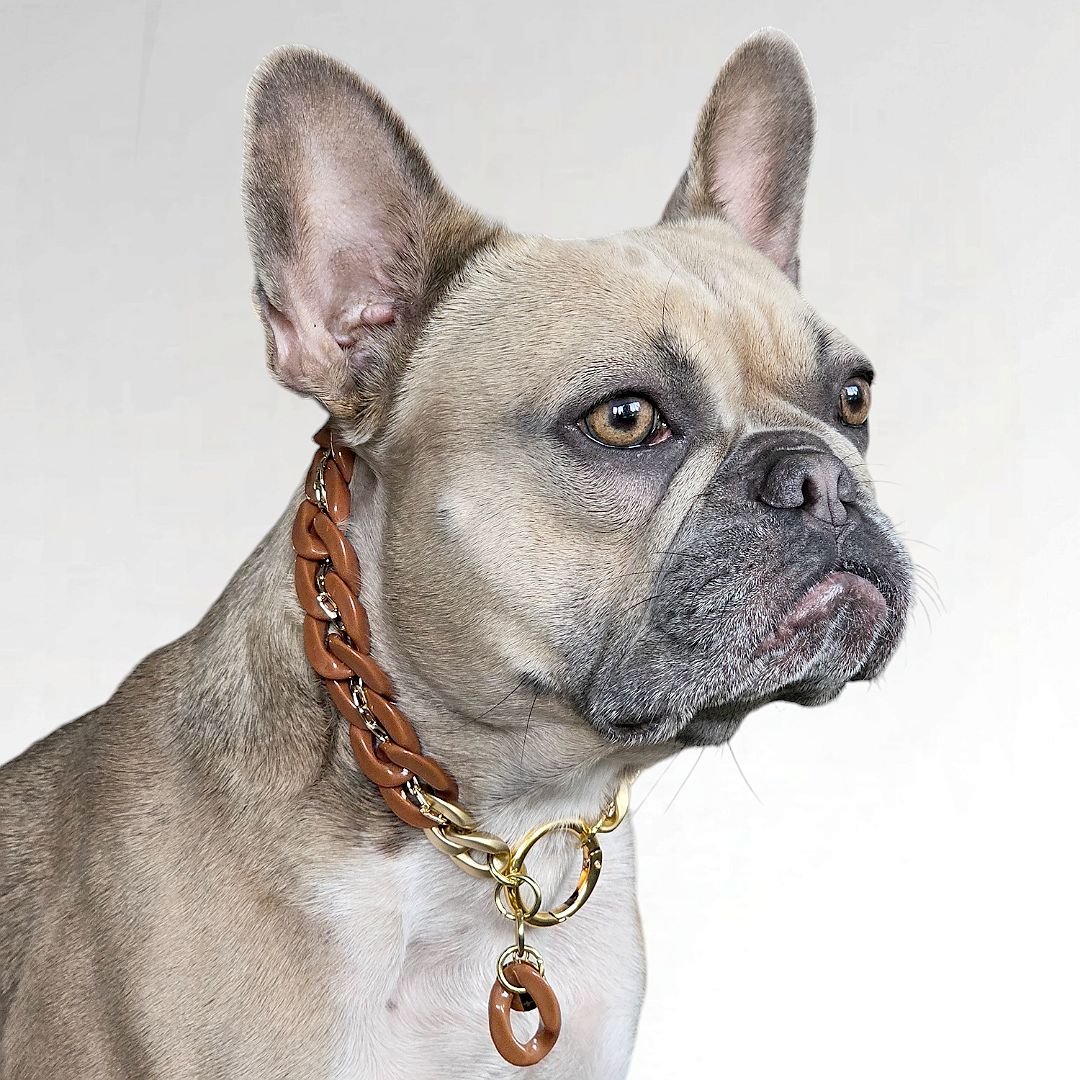 LivalaPip™ - ID Collar - Schakel - Rusty Elegance