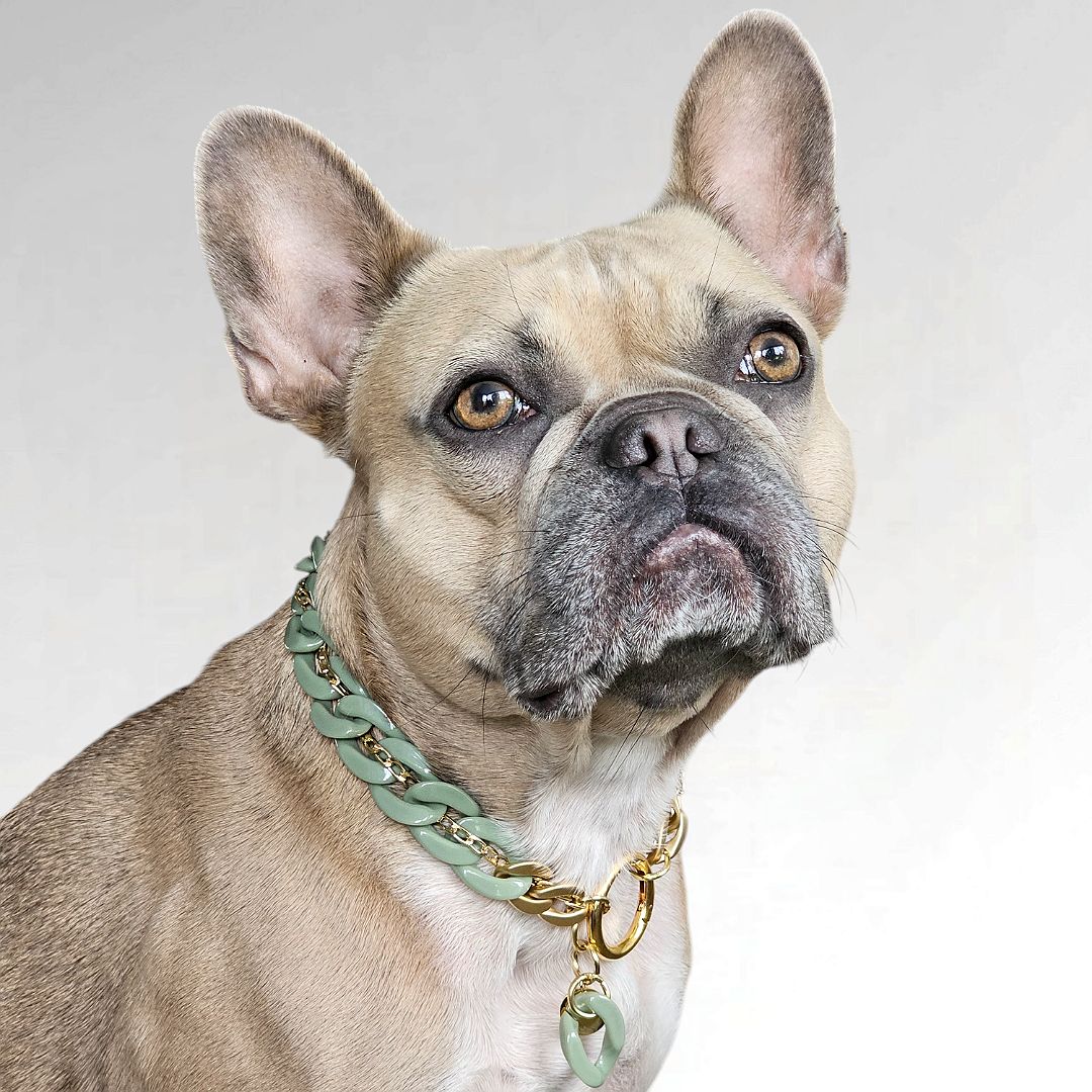 LivalaPip™ - ID Collar - Schakel - Sage Serenity