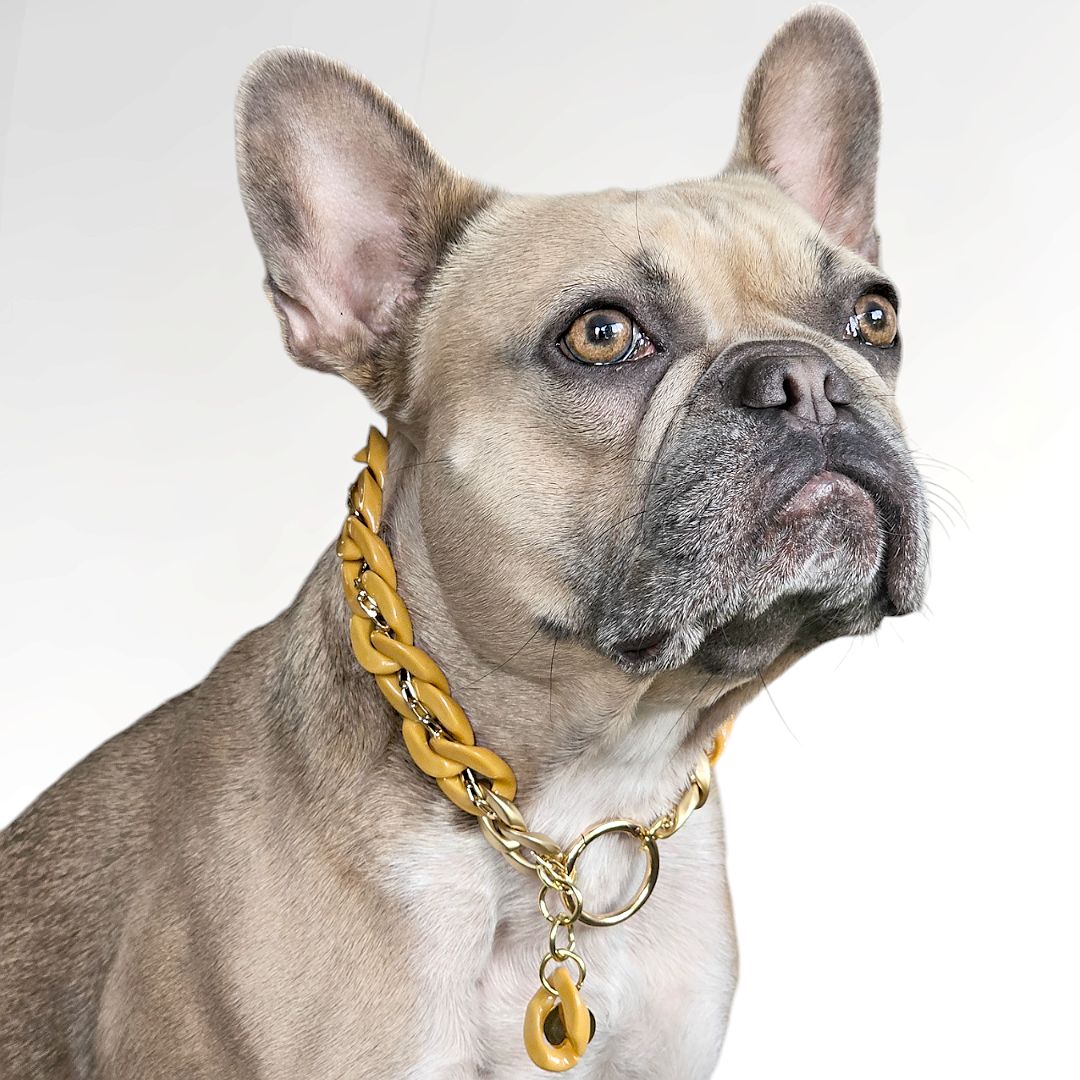 LivalaPip™ - ID Collar - Schakel - Golden Dusk