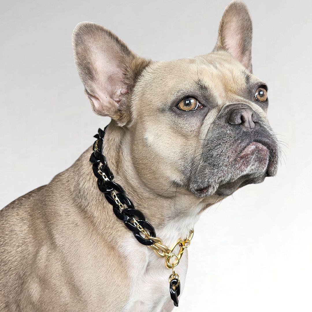 LivalaPip™ - ID Collar - Schakel - Midnight Luxe