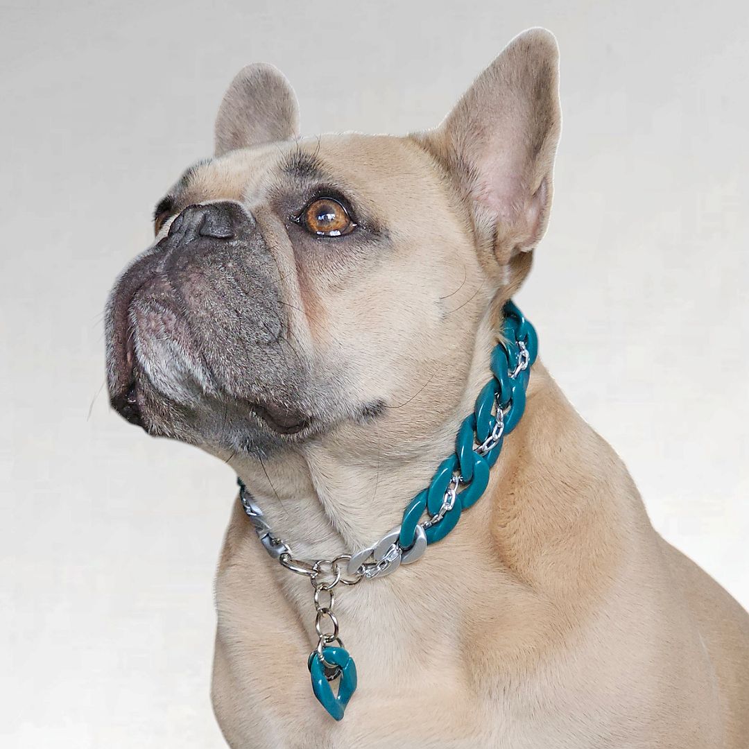 LivalaPip™ - ID Collar - Schakel - Teal Blue