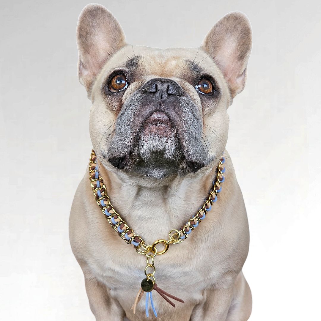 LivalaPip™ - ID Collar - Schakel - Caramel Sky