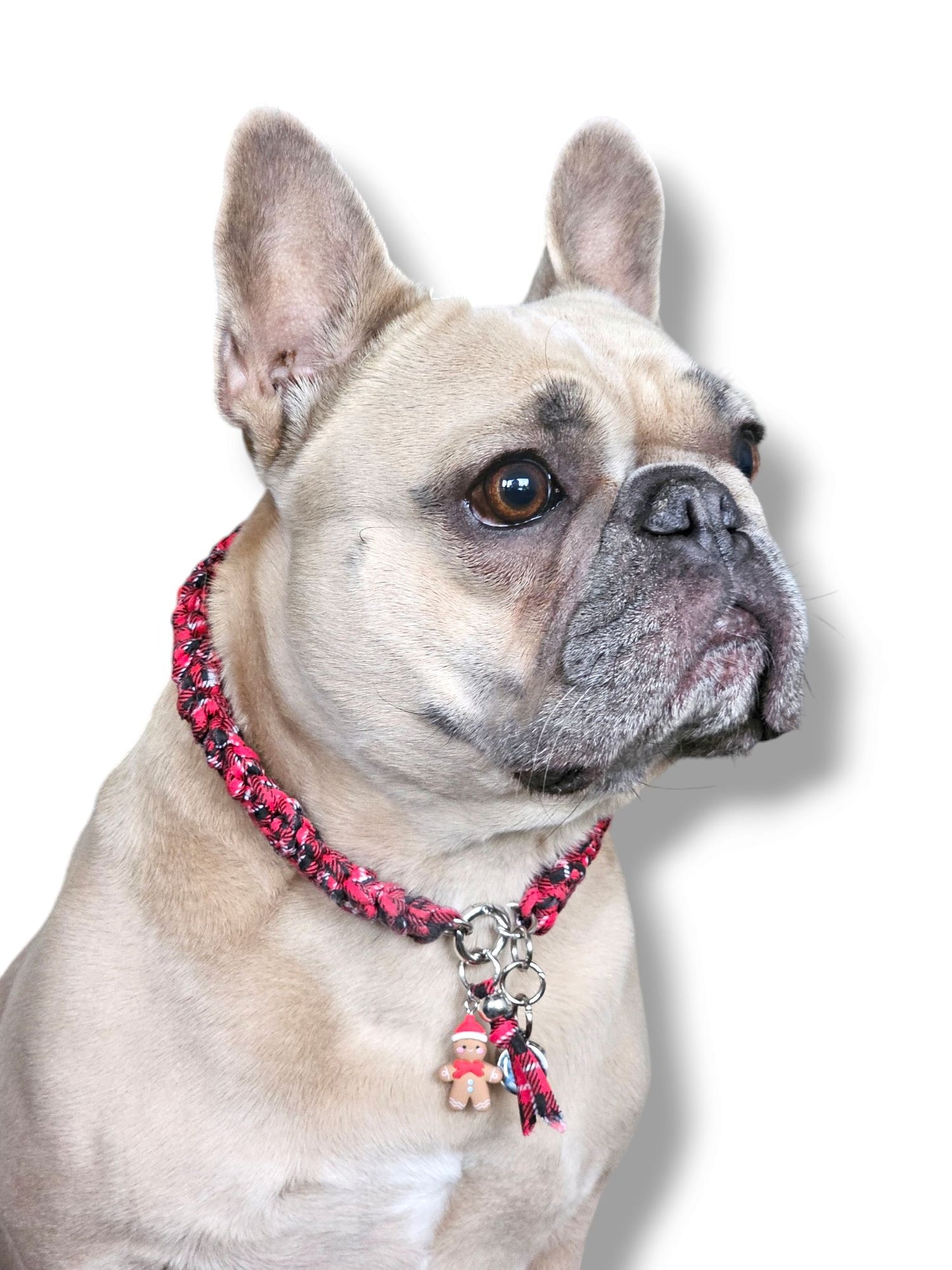 LivalaPip™ - ID Collar - Kerst - Gingerbread Jingle