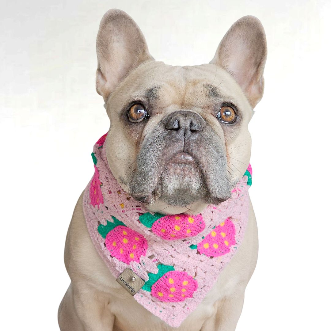 LivalaPip™ - Bandana - Strawberry Pink