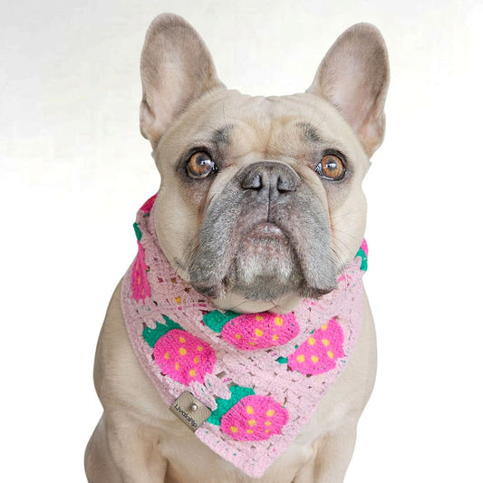 LivalaPip™ - Bandana - Strawberry Pink