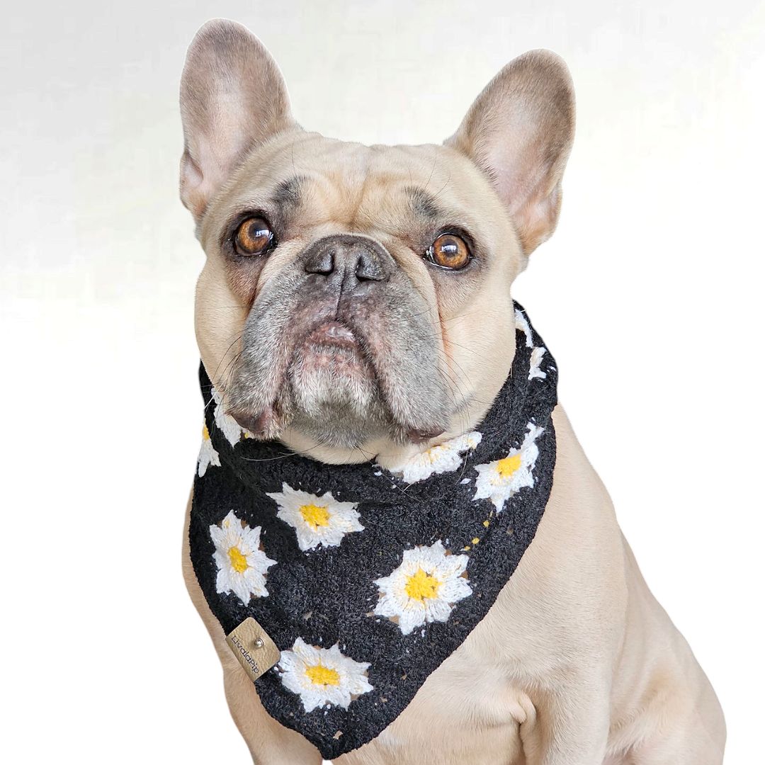LivalaPip™ - Bandana - Black Daisy