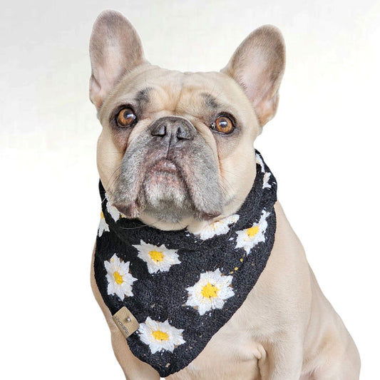 LivalaPip™ - Bandana - Black Daisy