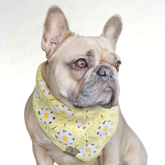 LivalaPip™ - Bandana - Yellow Daisy