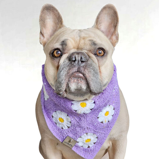 LivalaPip™ - Bandana - Purple Daisy