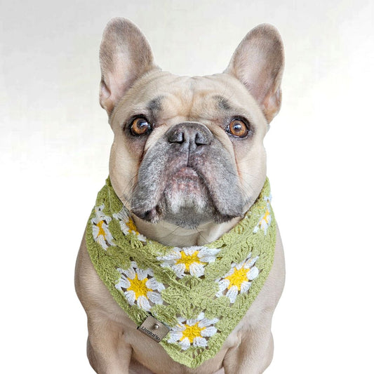 LivalaPip™ - Bandana - Green Daisy