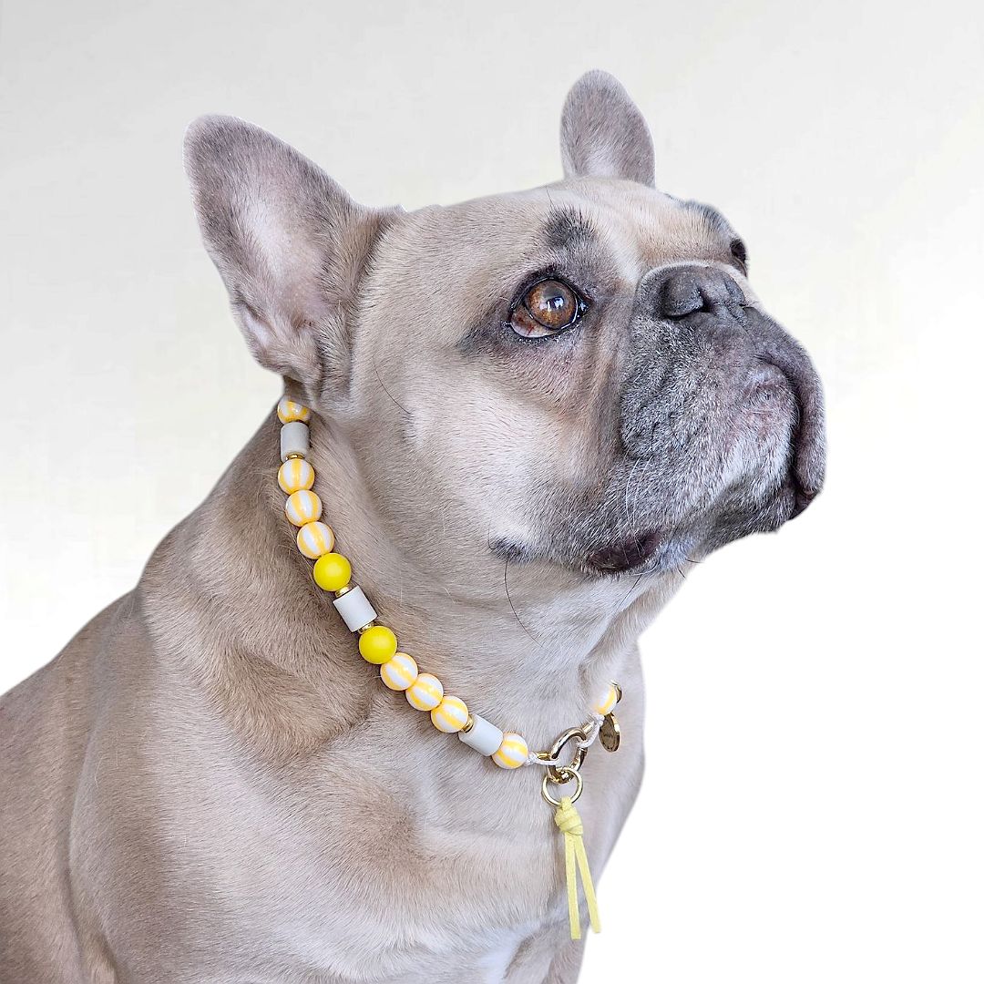 LivalaPip™ - Anti-tekenketting - Stripes Only Lemon