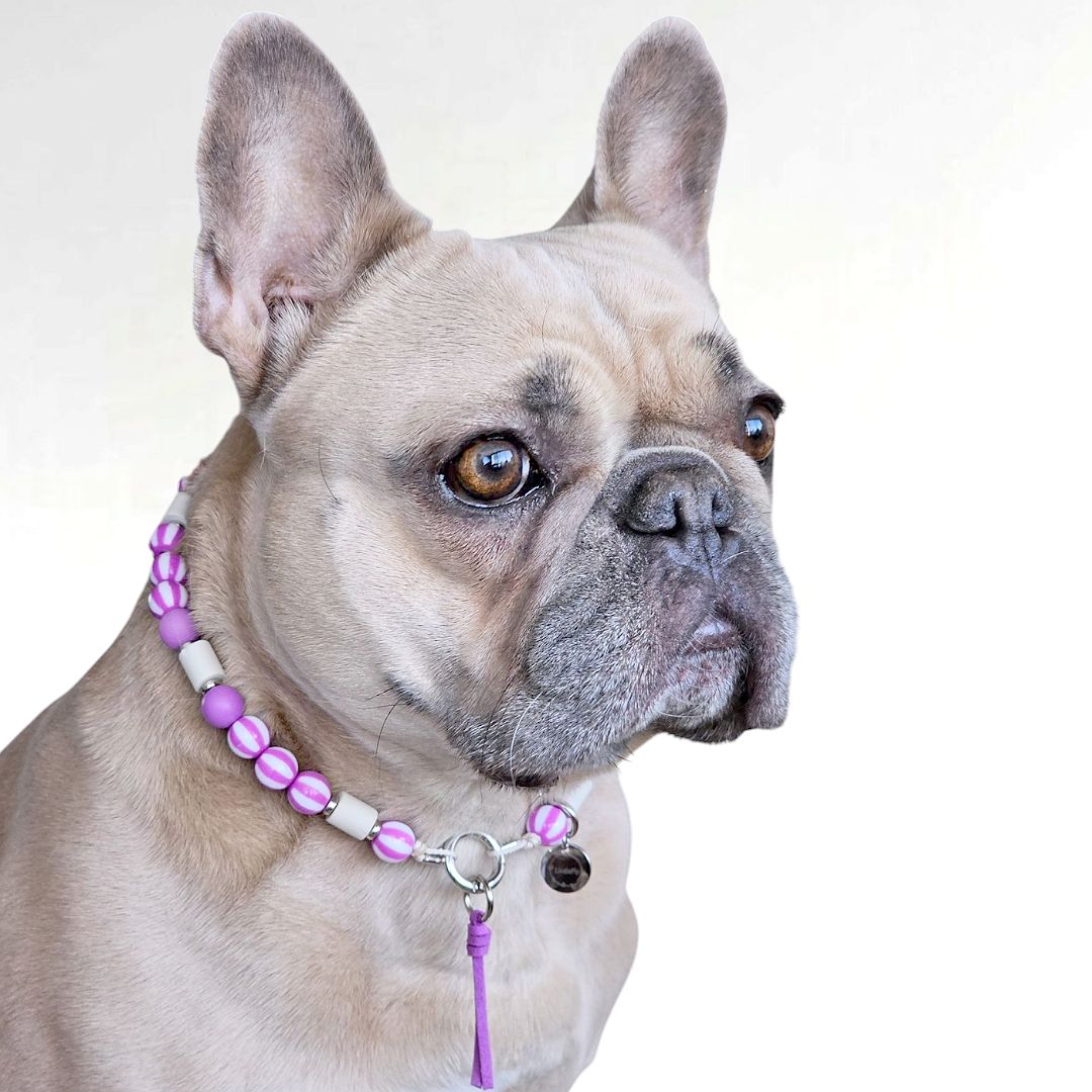 LivalaPip™ - Anti-tekenketting - Stripes Only Purple