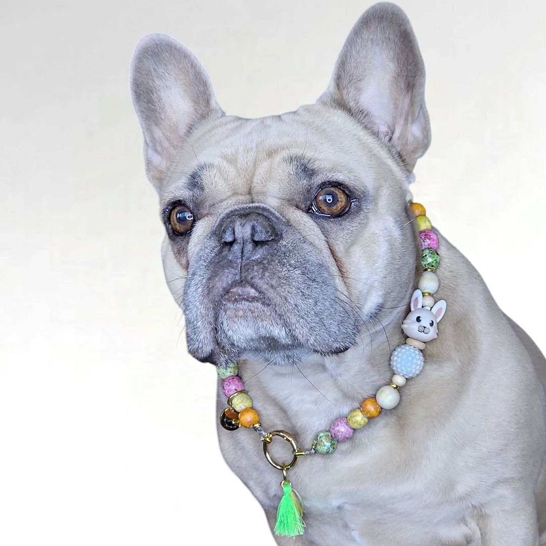 LivalaPip™ - Ketting - Spring Hoppiness
