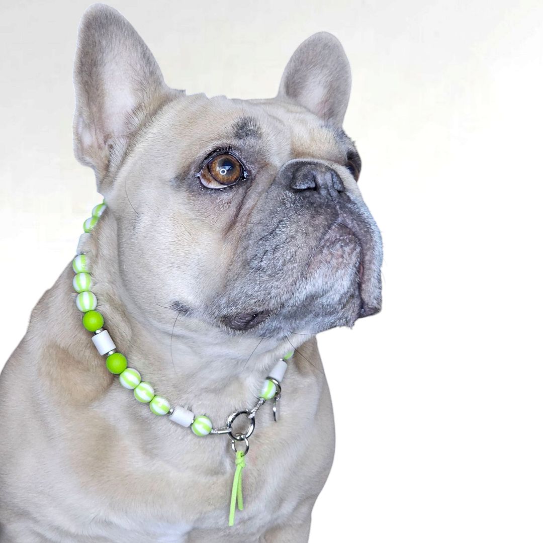 LivalaPip™ - Anti-tekenketting - Stripes Only LimeFresh