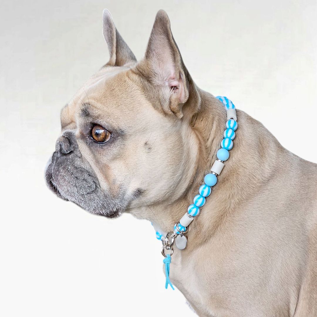 LivalaPip™ - Anti-tekenketting - Stripes Only Aqua