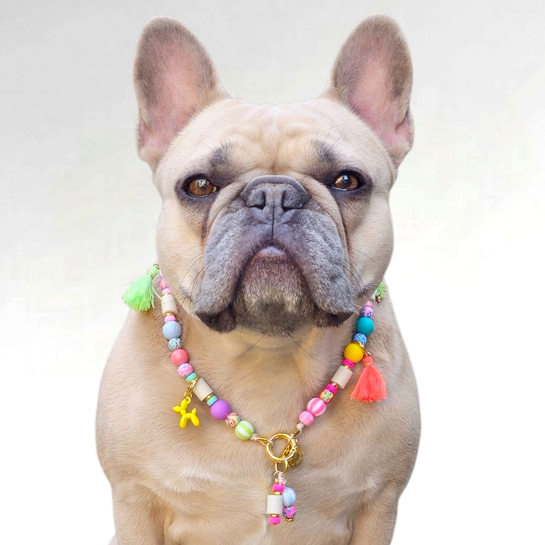 LivalaPip™ - Anti-tekenketting - OyLivy