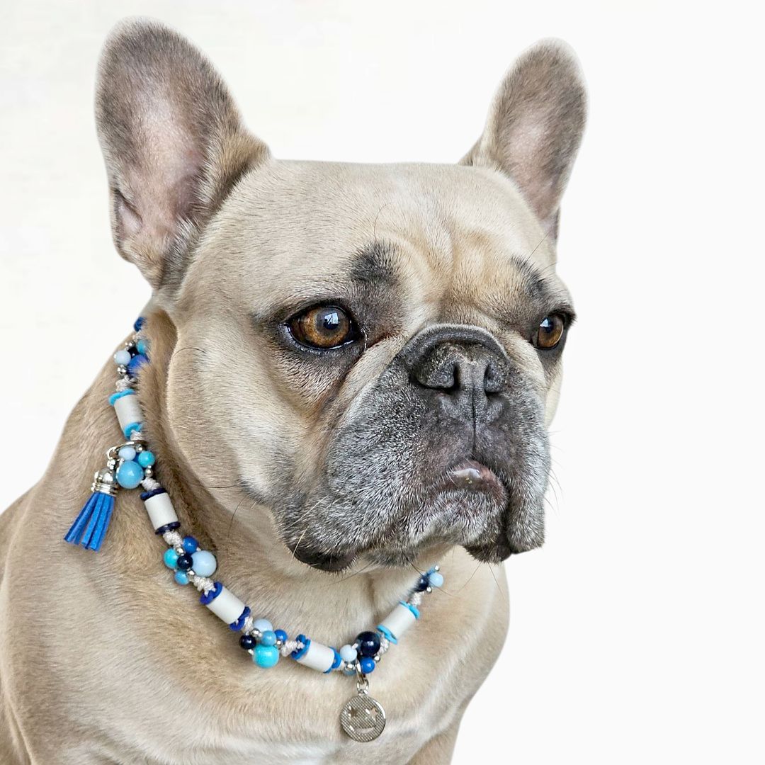 LivalaPip™ - Anti-tekenketting - 50 Shades Of Blue