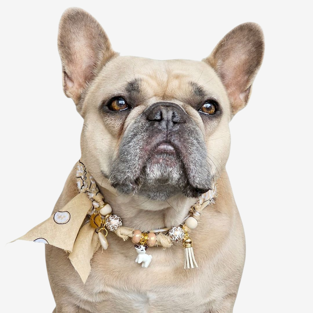 LivalaPip™ - Bandana Ketting - Ibiza Sand