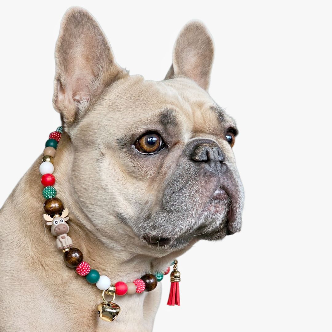 LivalaPip™ - Ketting - Kerst - Ruby the Reindeer