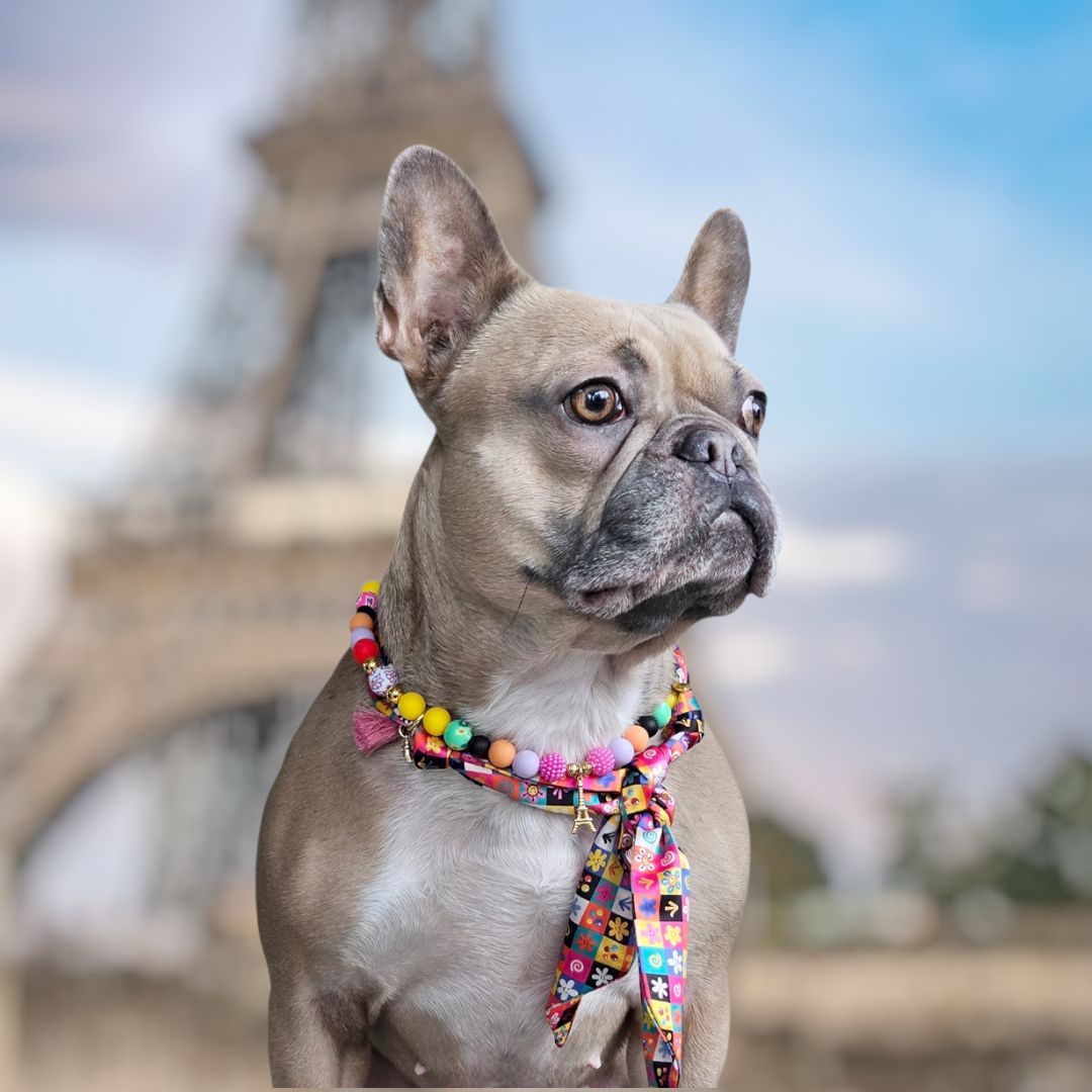 LivalaPip™ - Livalapip in Paris - Lola Montmartre