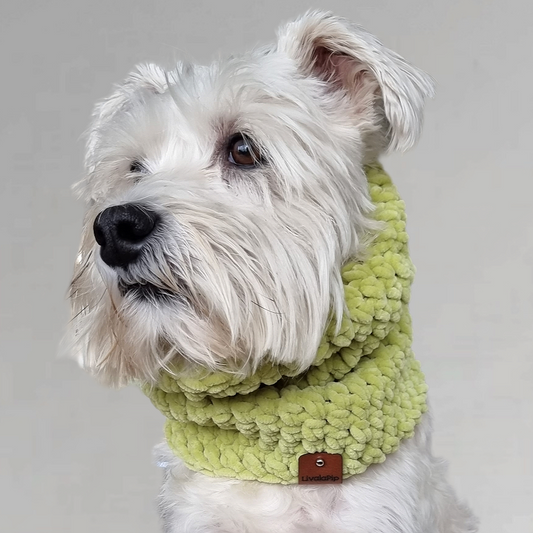 LivalaPip™ - Turtleneck scarf Supersoft - Lime
