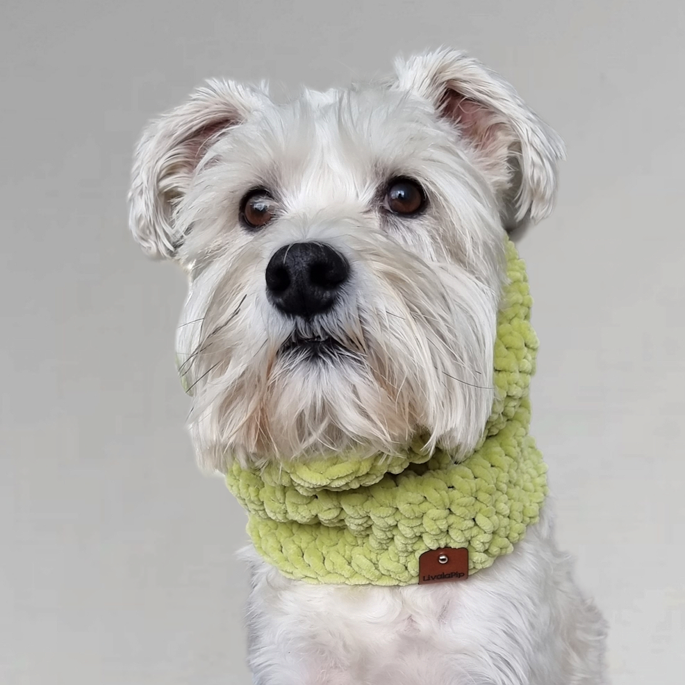 LivalaPip™ - Turtleneck scarf Supersoft - Lime